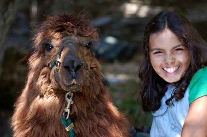 Вілла Monte Frio Alpacas Nariz Екстер'єр фото