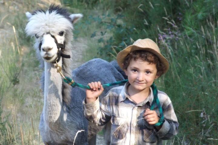 Вілла Monte Frio Alpacas Nariz Екстер'єр фото
