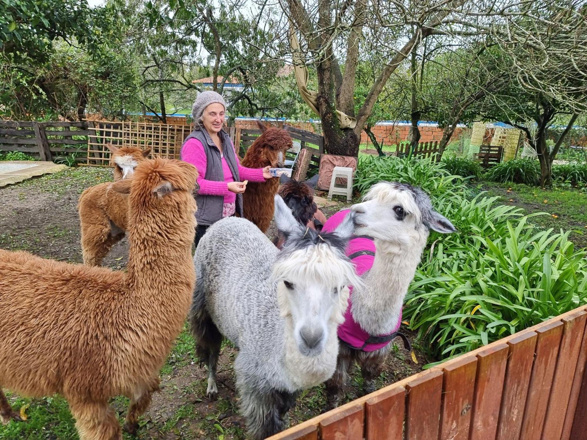 Вілла Monte Frio Alpacas Nariz Екстер'єр фото